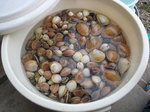 siohigari.jpg